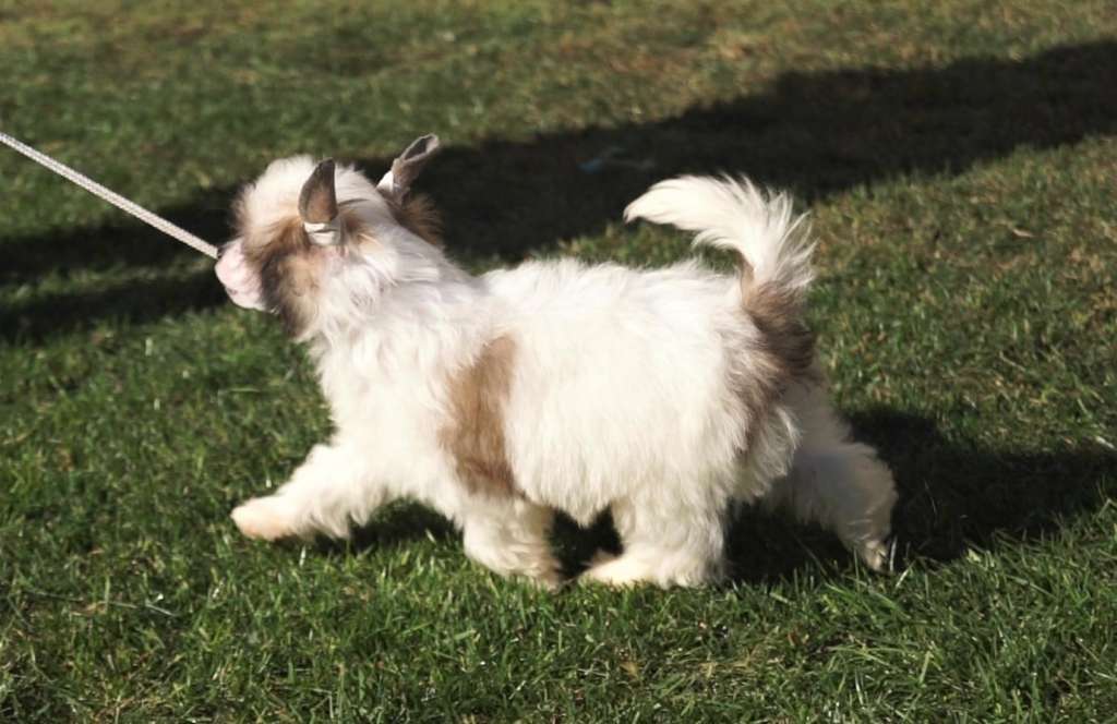 Under The Stars Heybett