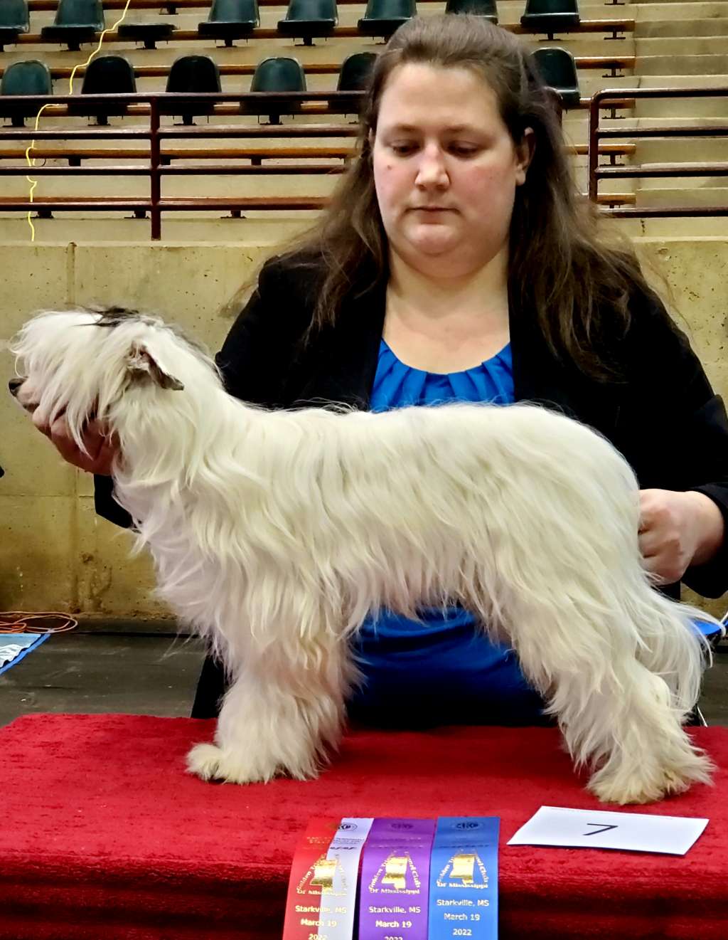 Chantilly's Ghostly Echo of the Fabulis Crescent
