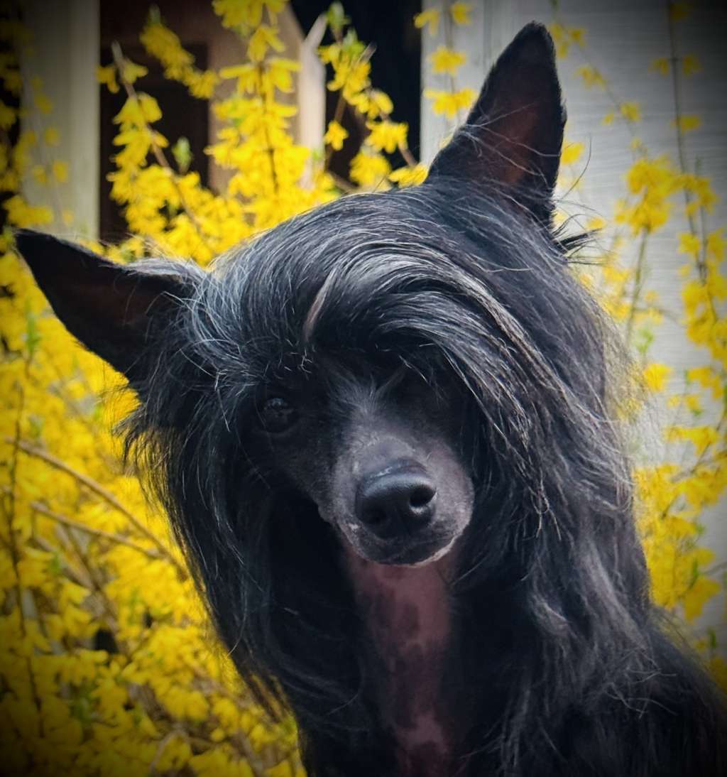 Eleganza's An Affair to Remember