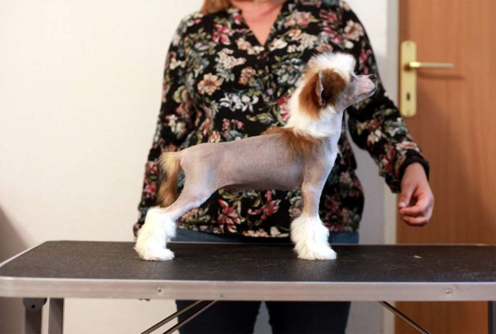 Samvalge Han Xiangzi