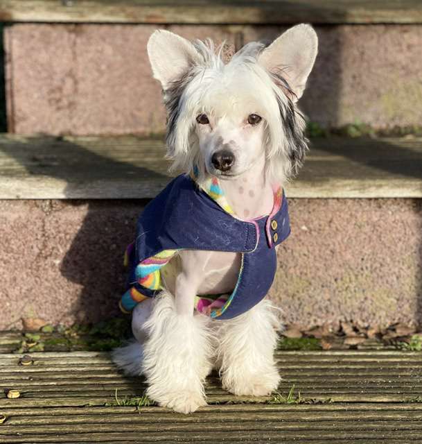 Florence von Shinbashi