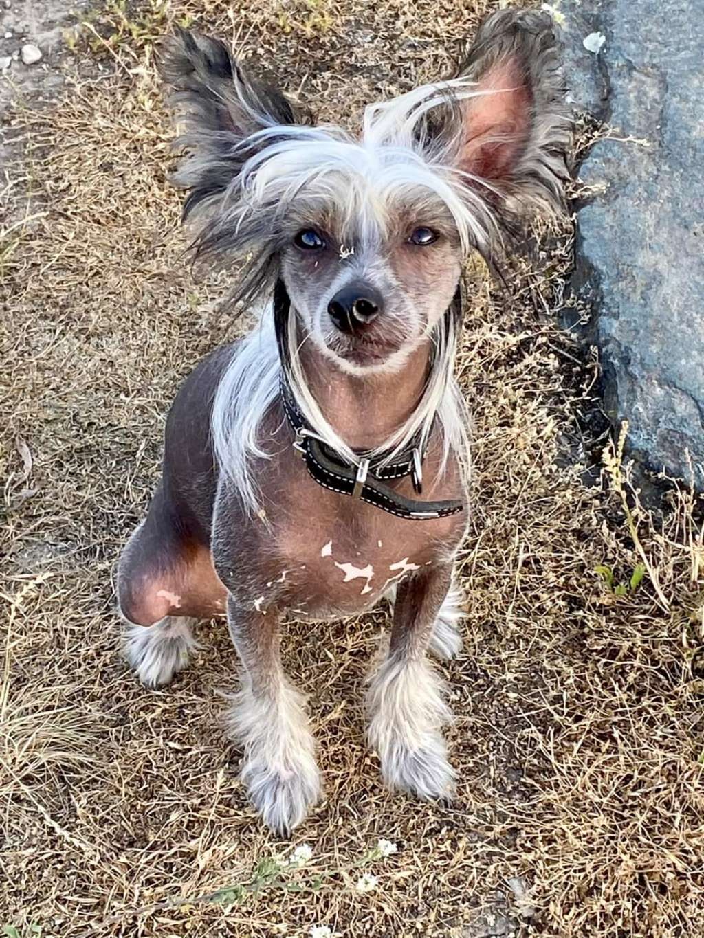 Girl on fire Laminacka