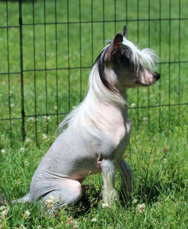 Locus' Let There Be Light