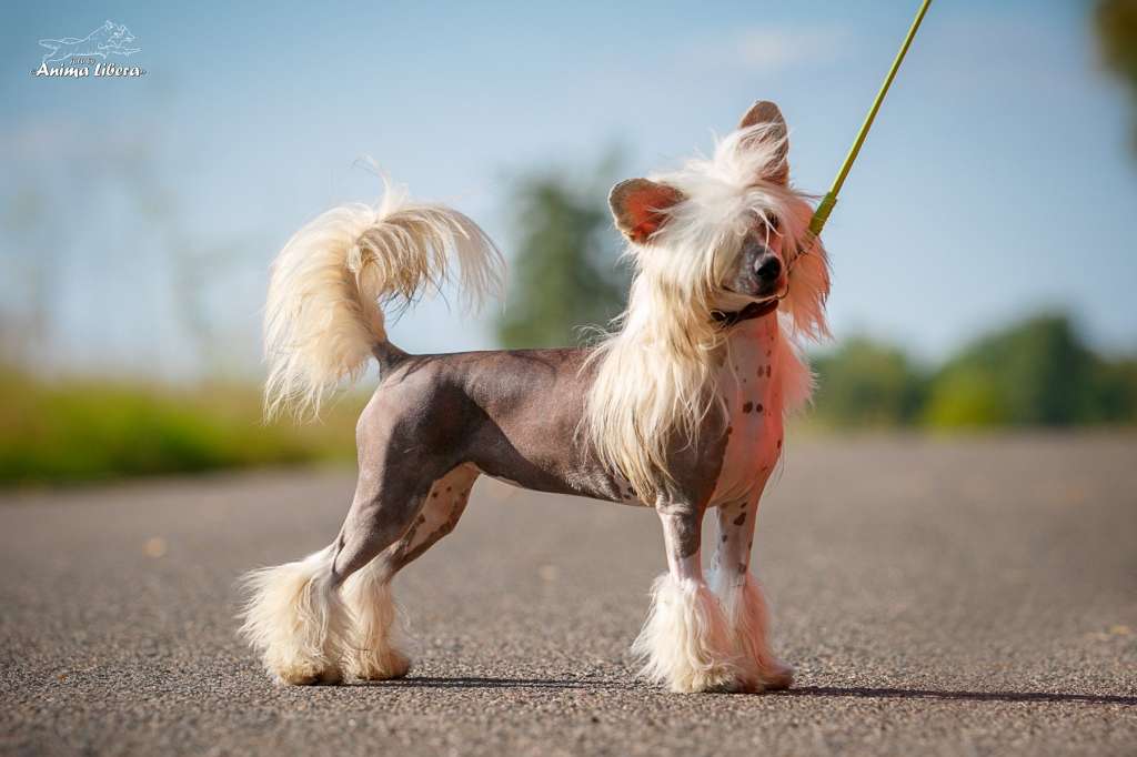 Sol'tanto Stay-With-Me