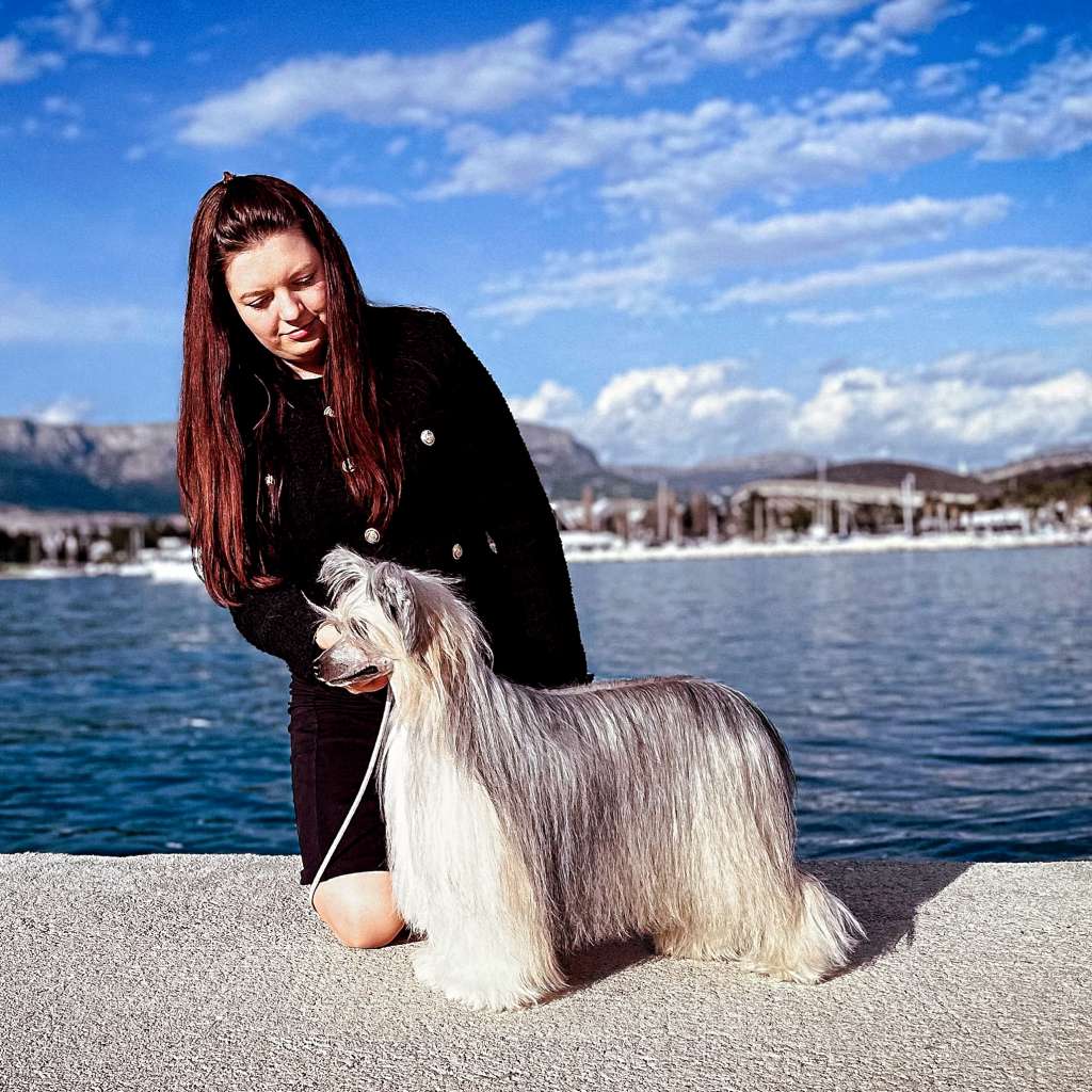 Habanero's Crest Theo