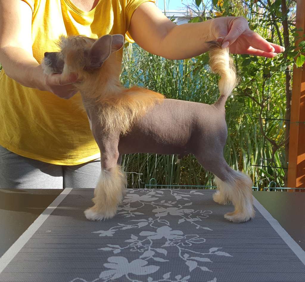 PETER PAN Caramella's Family