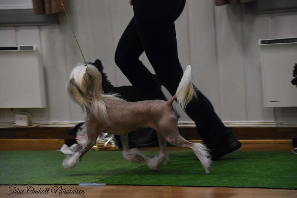 Reject's Nineteen Forever Staying