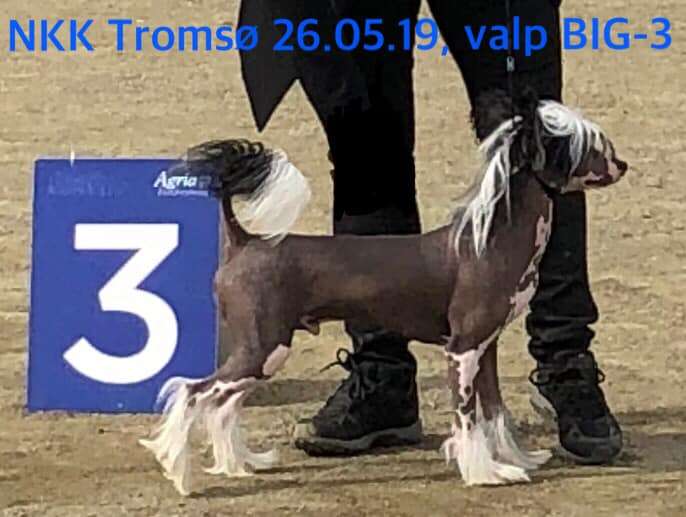 Reject's Nineteen Black Tie Event