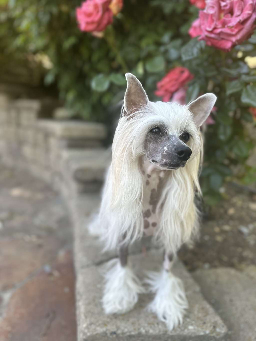 Megan Poetry In Motion