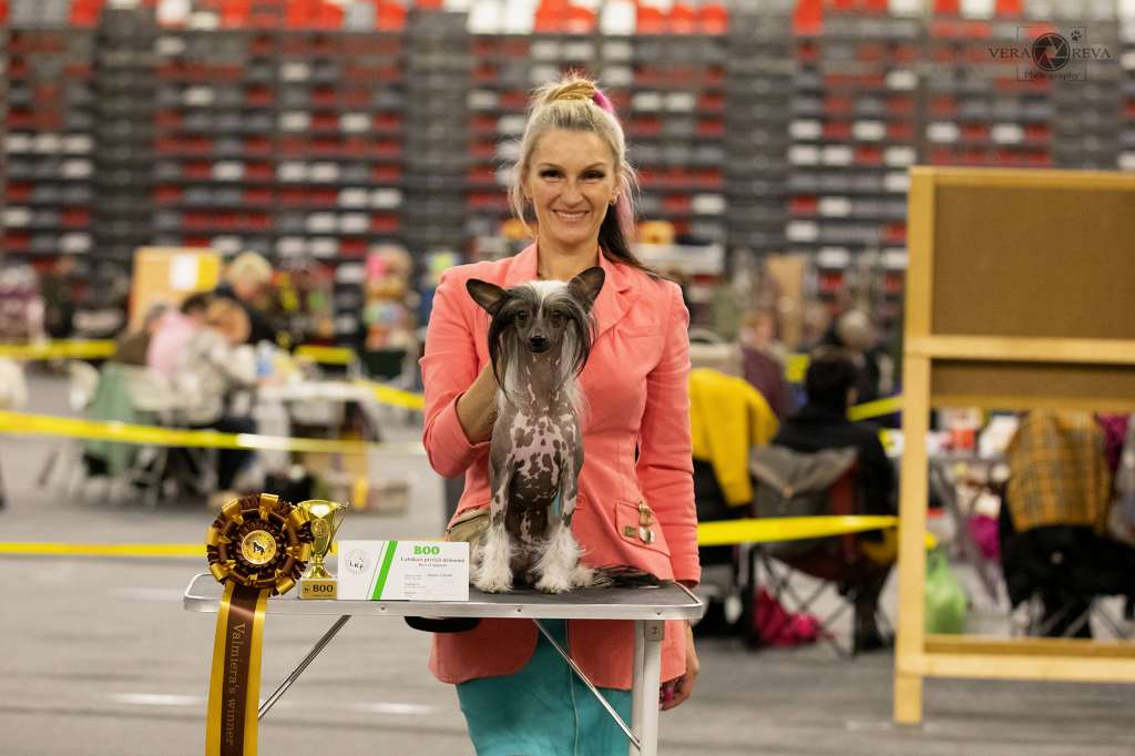 Cladary Triumph  Inspired Kiss