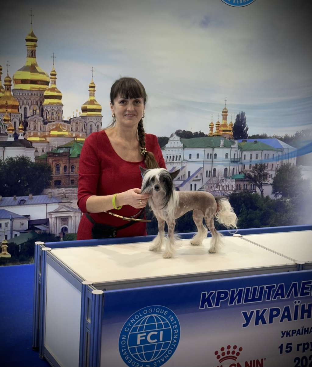 Bubba Qvintessa Miracolo Dell'anima