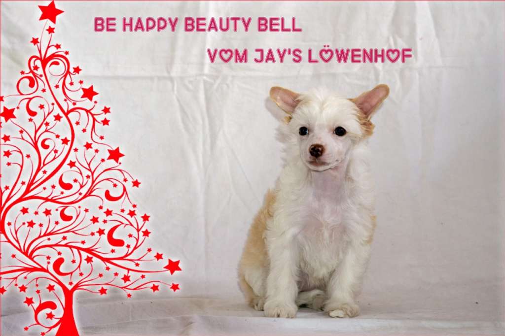 Be Happy Beauty Bell vom Jay's Löwenhof