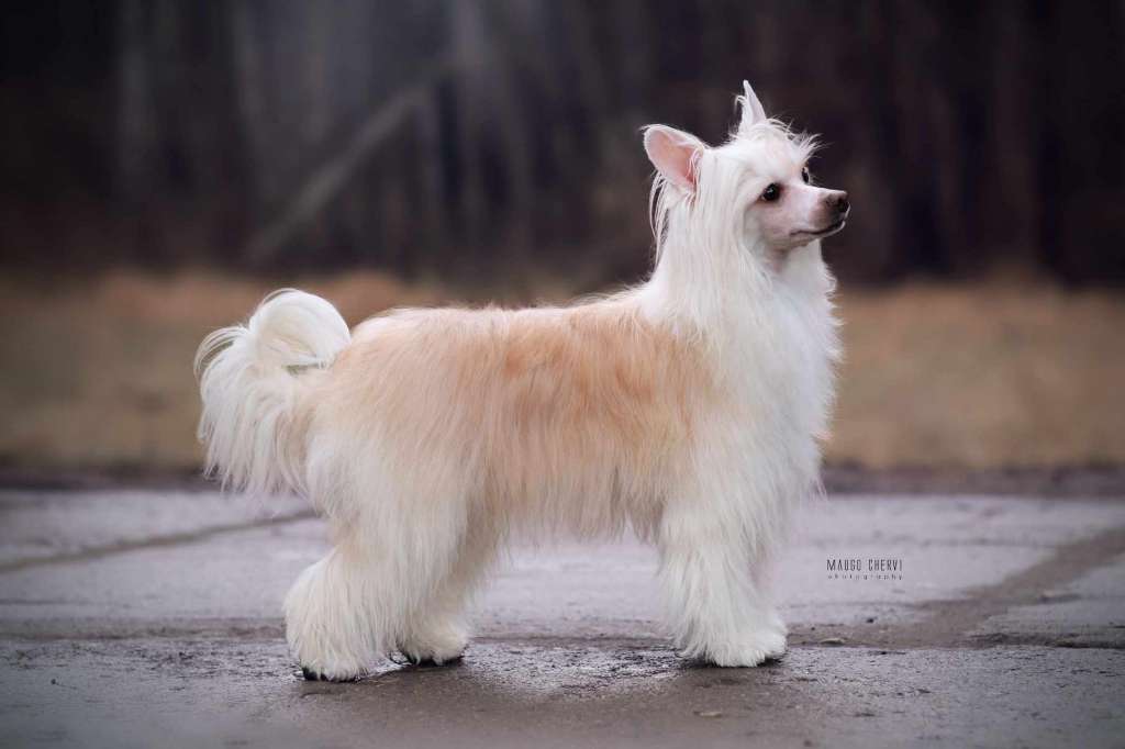 Florence Insolite Familier