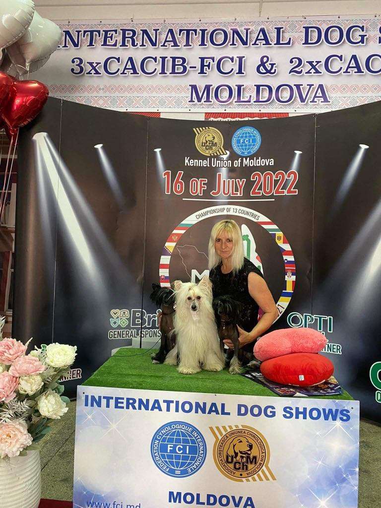 Lady Liliana Kings Of Dreams