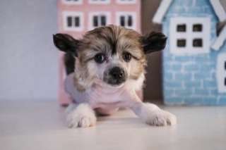 Marydance Hit the Jackpot