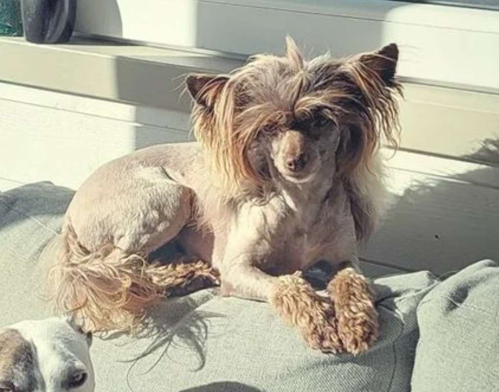 Myrnas Mignon Étoile Spirit Charm