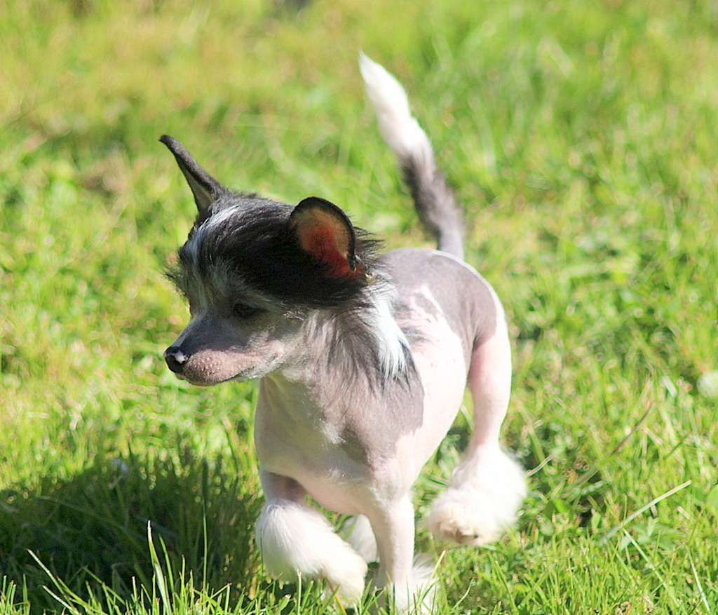 Moon Harbour Surprise