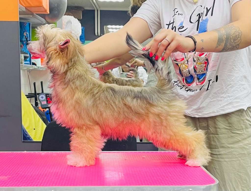 Rolana Family Kristi