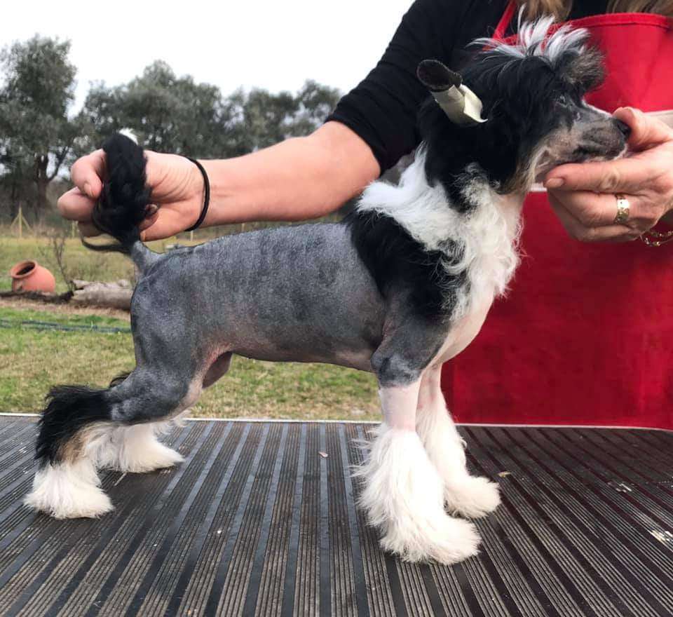 patagonia ranch Alice