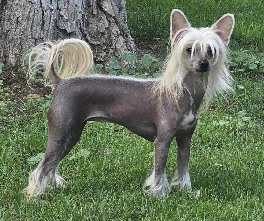 Gardine New Beginning Bidwin