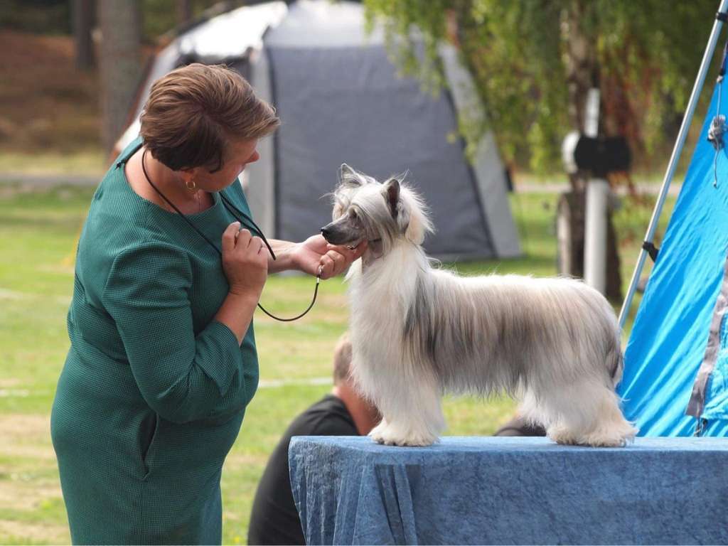 Nomilas Oohlala The Queen Jemalle