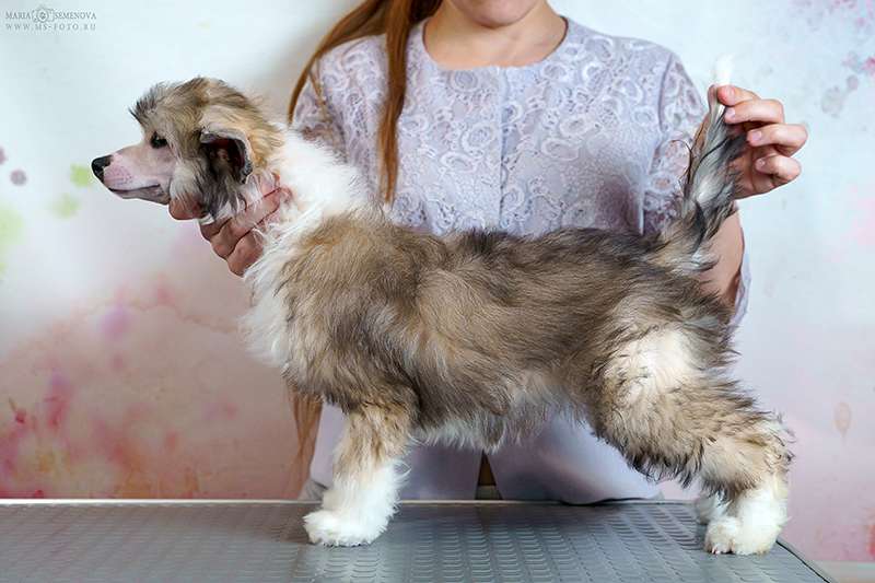 Grand Passage Galateya