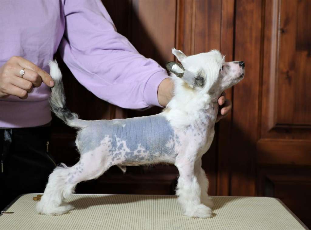 Juno of Olympia z Valdorfskych lesu