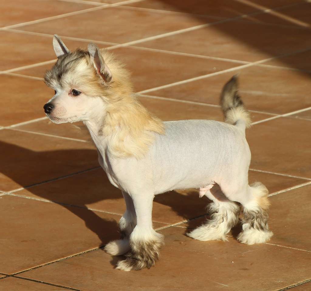 Best kiss de Almamasan