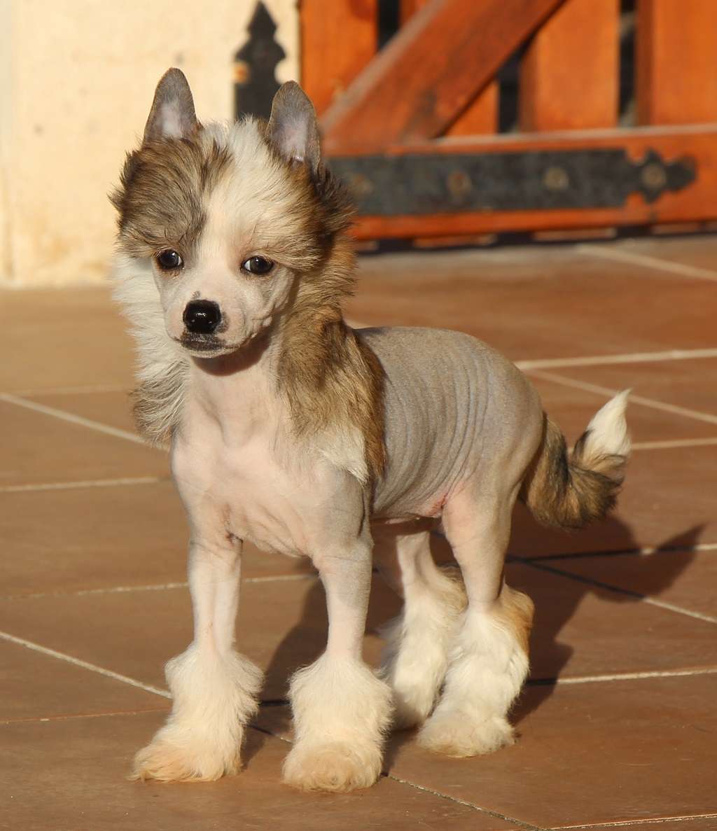 Bewitching smile de Almamasan