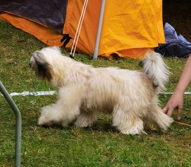 Nightstorms Kosinda Love