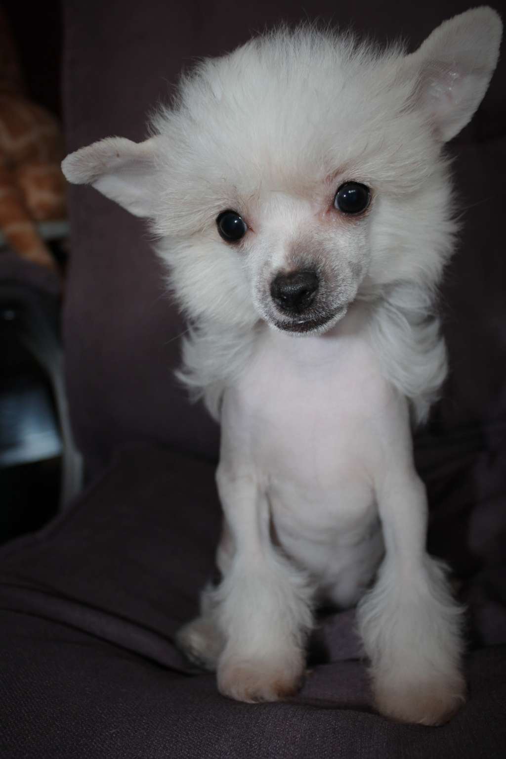 Cassi Ria Miracolo Dell'anima