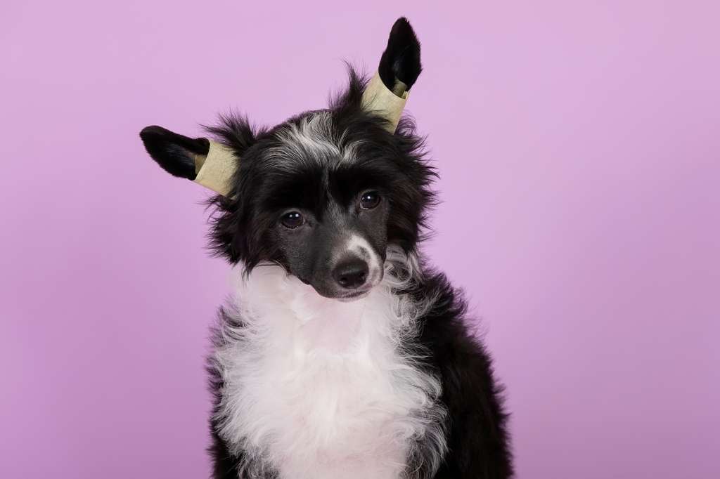 Kraspamir Happy Spirit