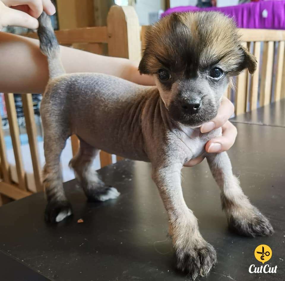 Nightstorms Less Is More