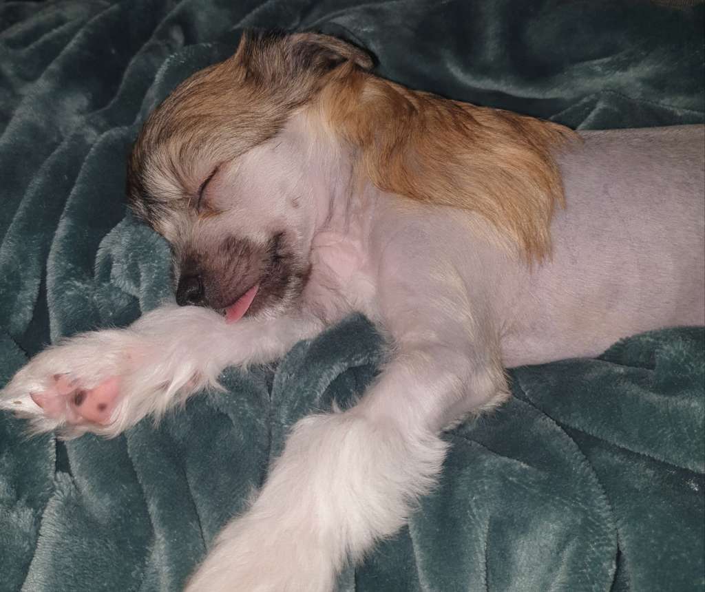 Epadalens Highway To Hell