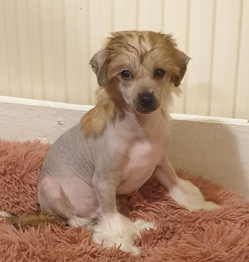 Epadalens Moneytalks