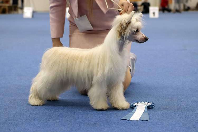 Jean Dark Blink Of An Eye