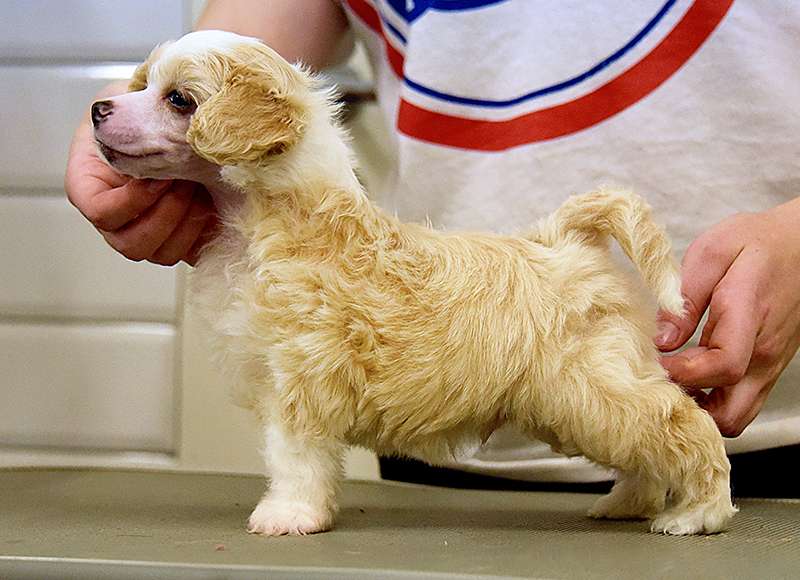 Jean Dark By The Way