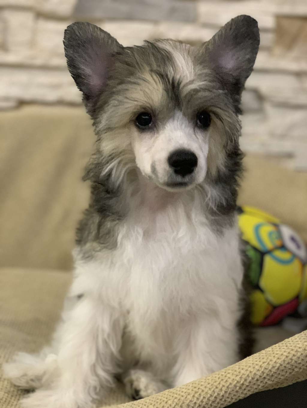 Diesel Natalexx Life