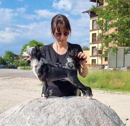 Magic of Success Diadem