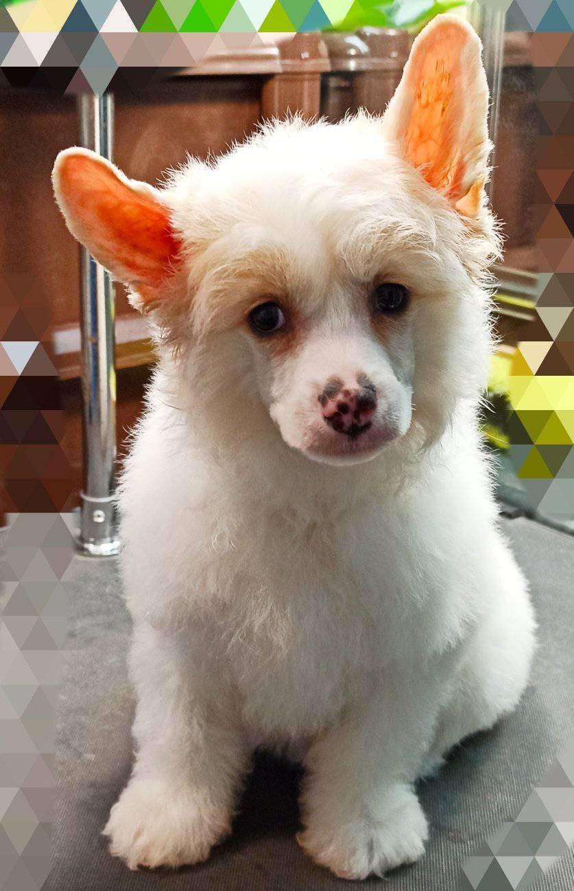 Family Mar'S Soblazn