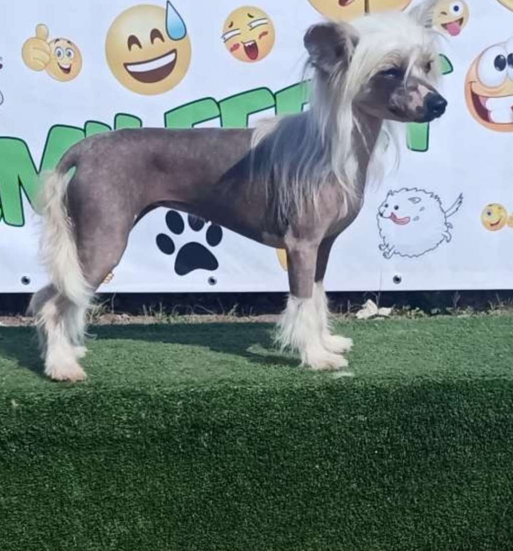 Kovimoti Forever or Never