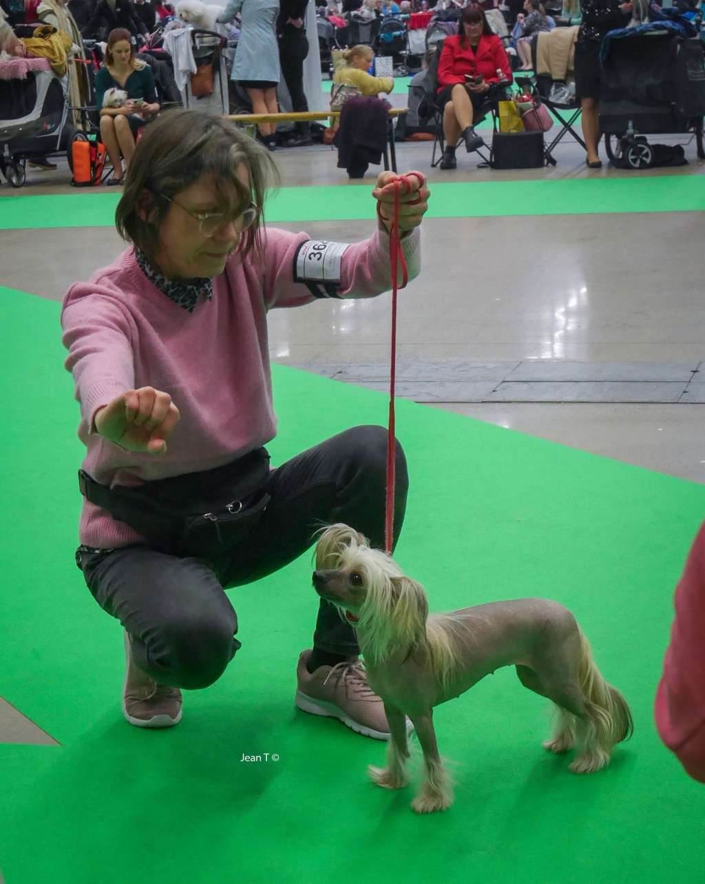 Lovely Chinese Bianca Lisen