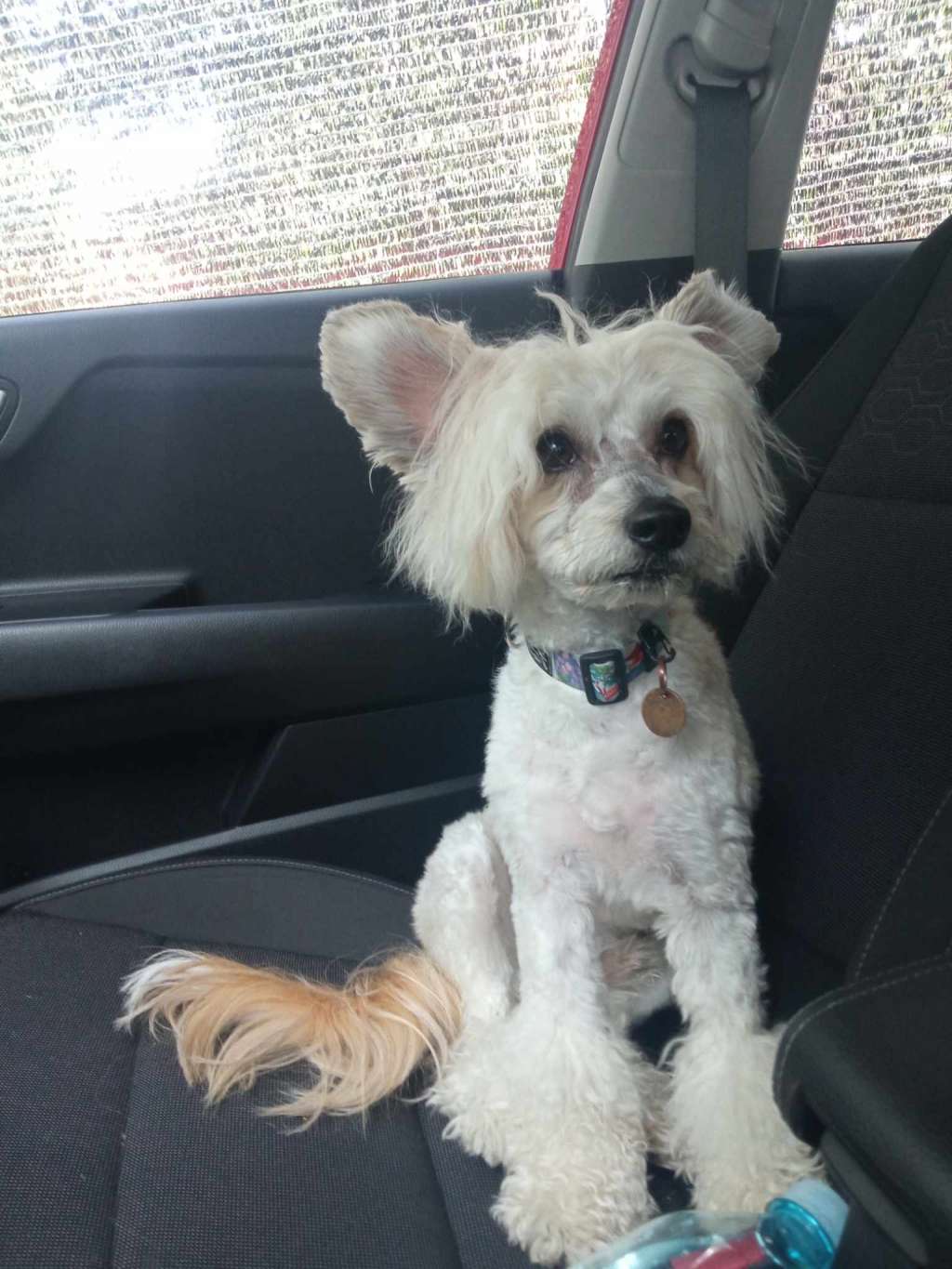 Ekstremalnie Ekskluzywny Akizabo