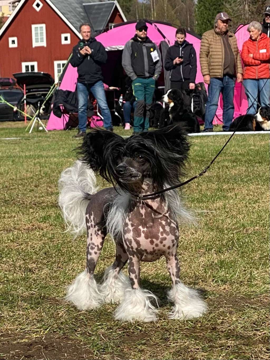 MhaLhi's Me Myself and I