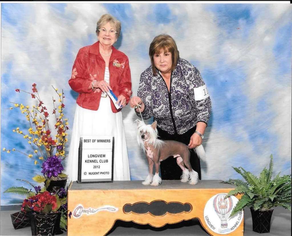 Xpozures Spiritual Miracle