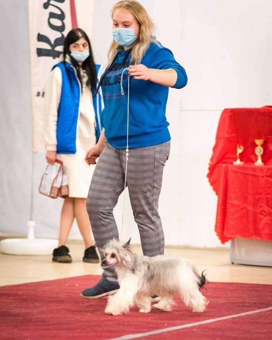 Miniatyura Club Sabrina