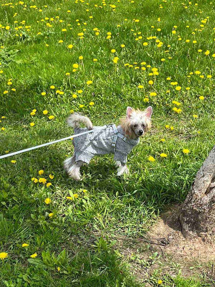 Sol'tanto  Uma Thurman