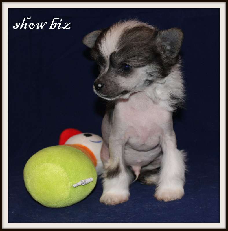 Show Biz du Pavé de Varennes