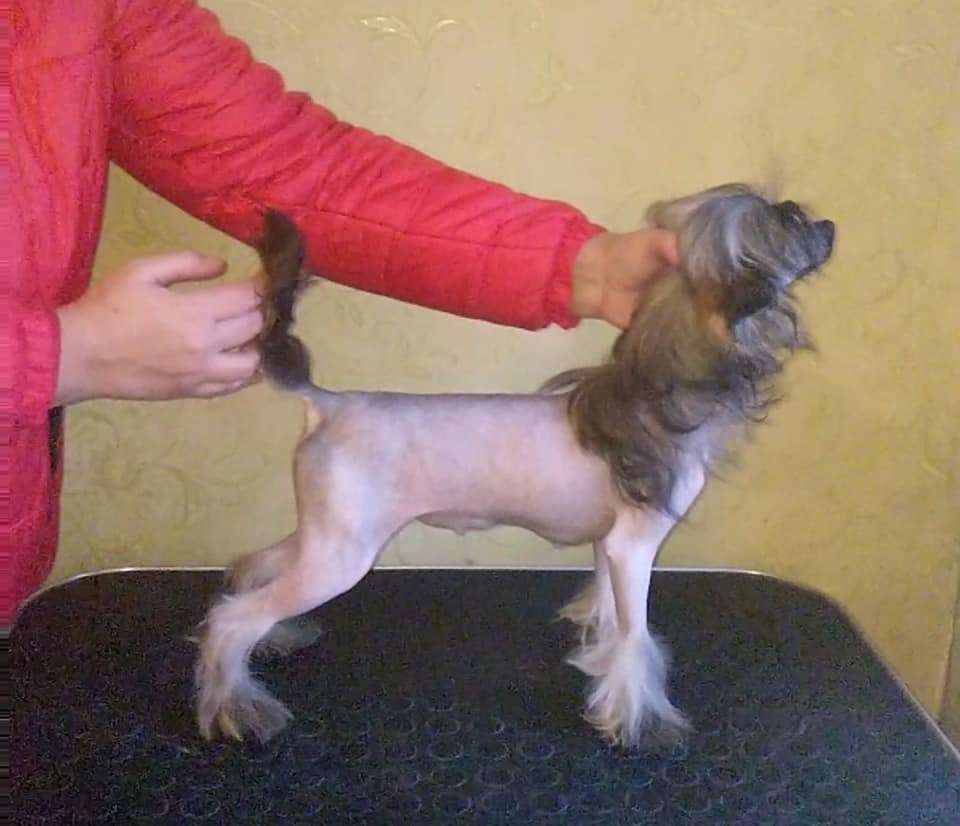 Magic of Success Lourdes