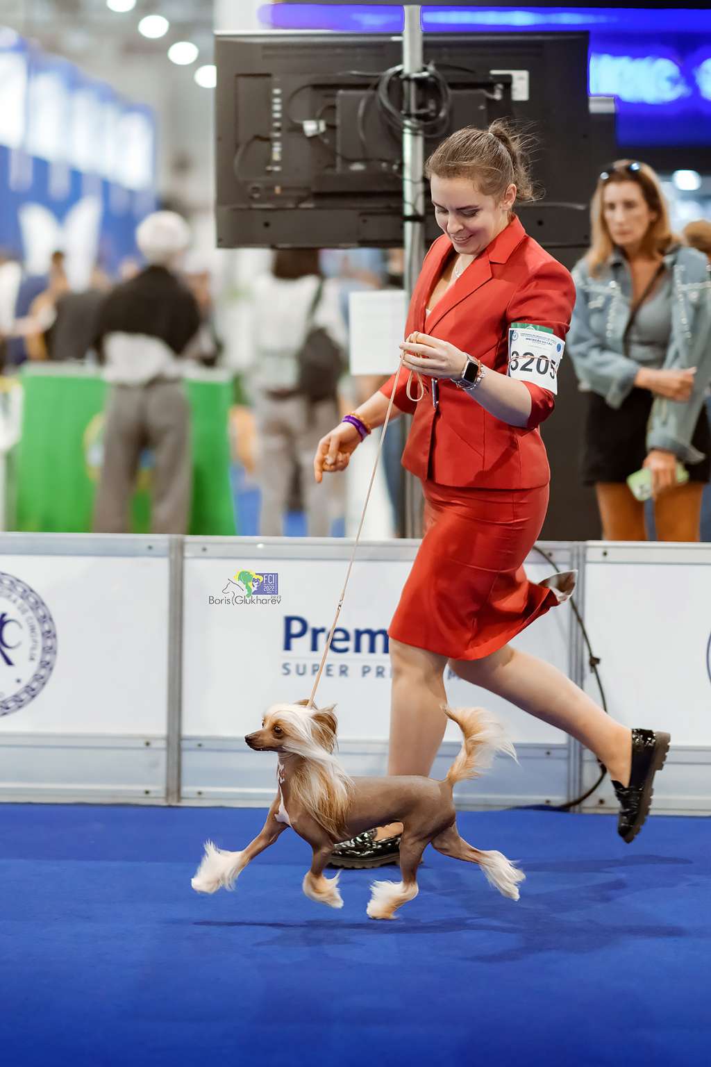 Kyunefe Dor De Maison Des Lys Molosos Gratzi